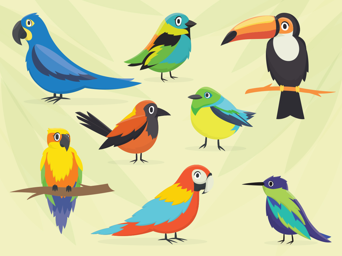 Птицы Бразилии рисунок